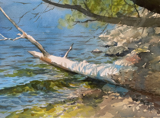 Härjarö deadwood II