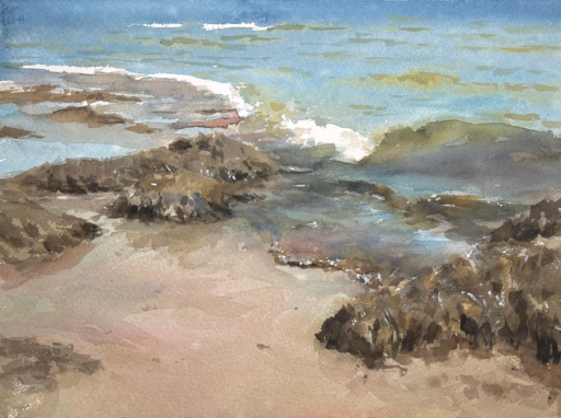 Seaweeds