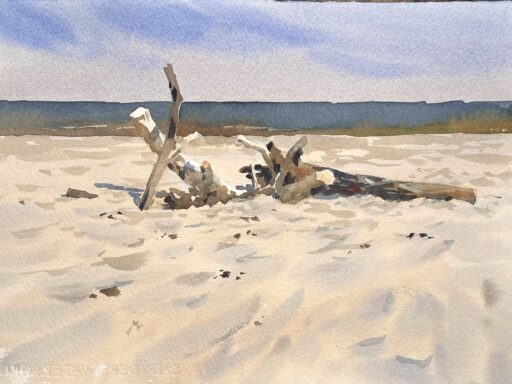 Driftwood